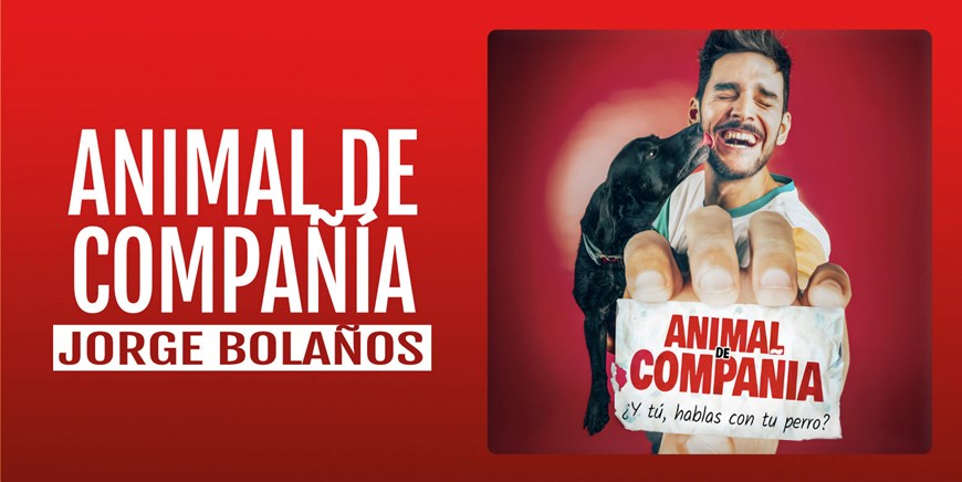 ANIMAL DE COMPAÑÍA - Jorge Bolaños - Domingo 17 Enero (18:00 h) Público Adulto